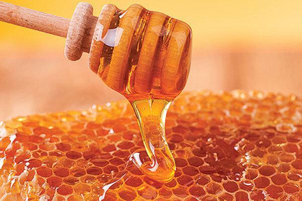 عسل کُنار استان بوشهر ثبت ملّی شد عسل کُنار استان بوشهر ثبت ملّی شد