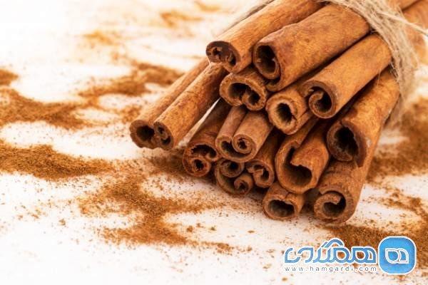 ادویه ای برای درمان یکی از شایع ترین بیماری های فصل گرما