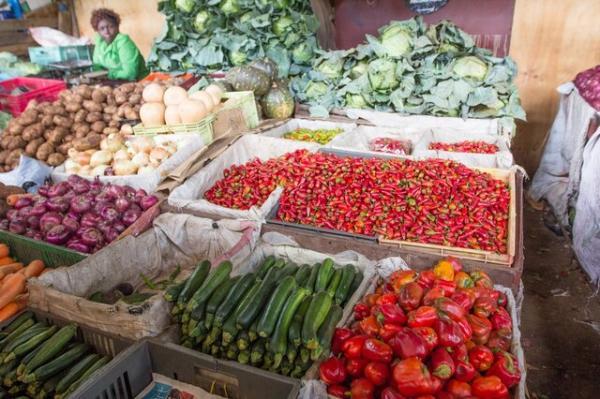 کدام مهمتر است، امنیت غذایی یا امنیت تغذیه؟
