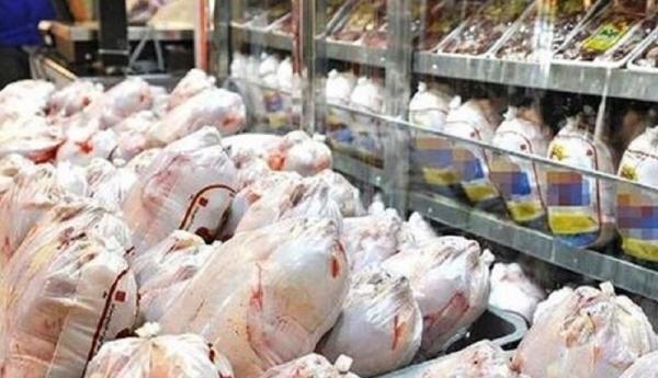 توزیع مرغ از فردا دو برابر می شود توزیع مرغ از فردا دو برابر می گردد