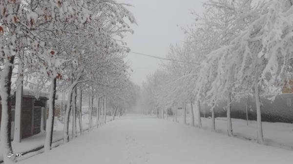 برف مهاباد را فرا گرفت برف مهاباد را فرا گرفت