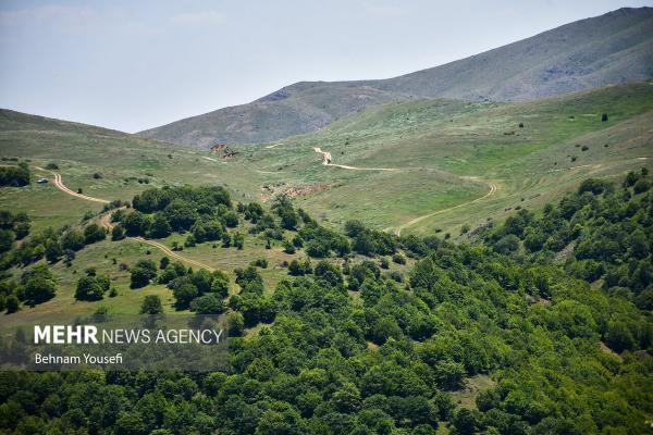 جنگل ابر شاهرود پیوند آسمان و زمین جنگل ابر شاهرود پیوند آسمان و زمین