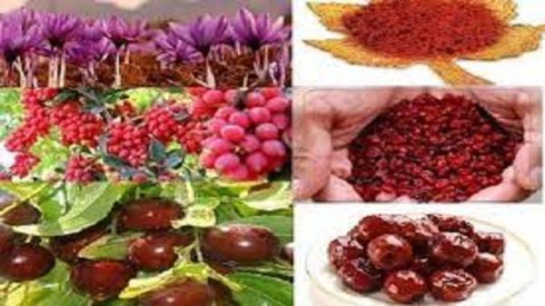 تسهیل تجارت محصولات مزیت دار کشاورزی با تدوین استاندارد تسهیل تجارت محصولات مزیت دار کشاورزی با تدوین استاندارد ایزو