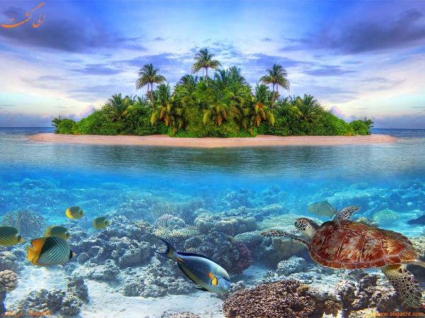 برترین اقامتگاه های مالدیو برای غواصی