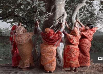 رسم عجیب ازدواج با درخت در هندوستان