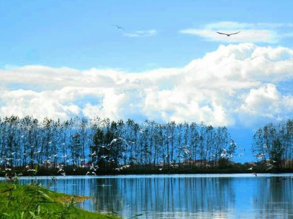 تالاب لنگور کجاست؟ تالاب لنگور کجاست؟